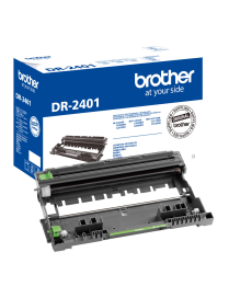 Bęben Brother do HLL2312/DCPL2512/MFCL2712 | 12 000 str.